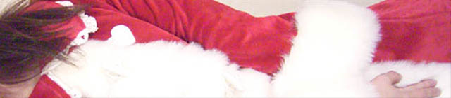 Santa dress (2)