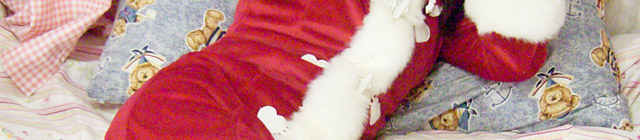 Santa dress (9)